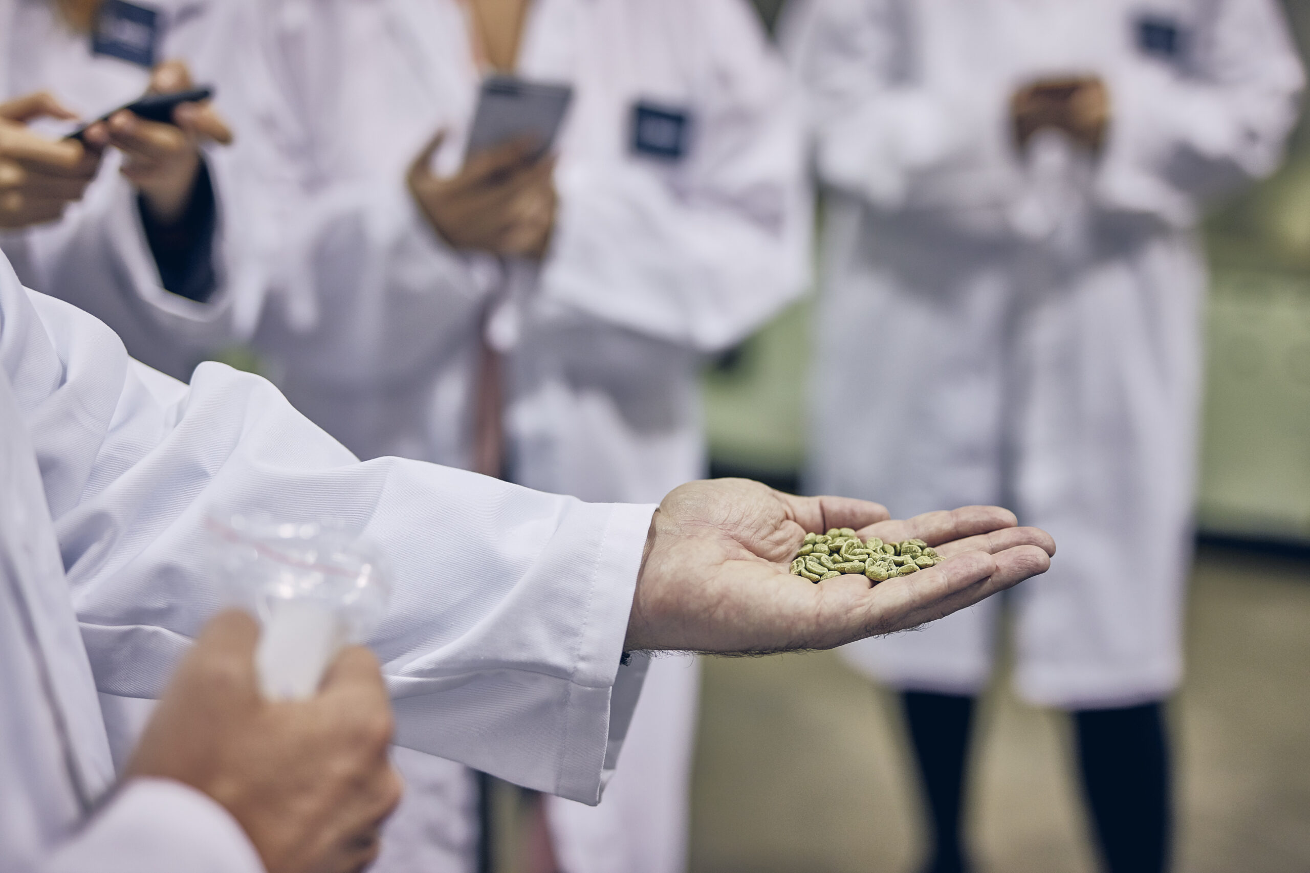 Roastery tour from crop to cup