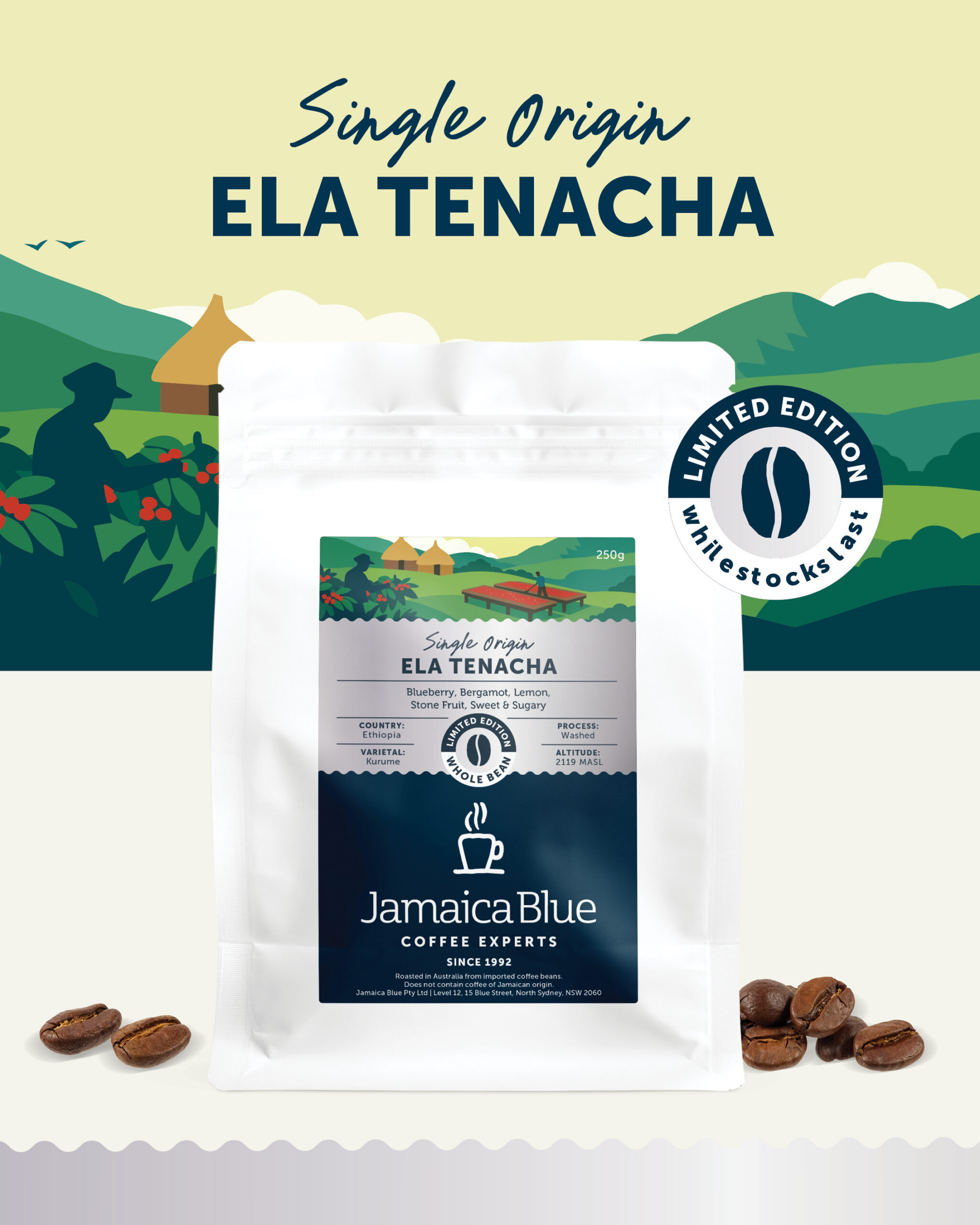 Ela Tenacha Single Origin